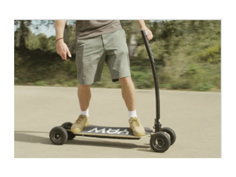 Electric Scooter (5)
