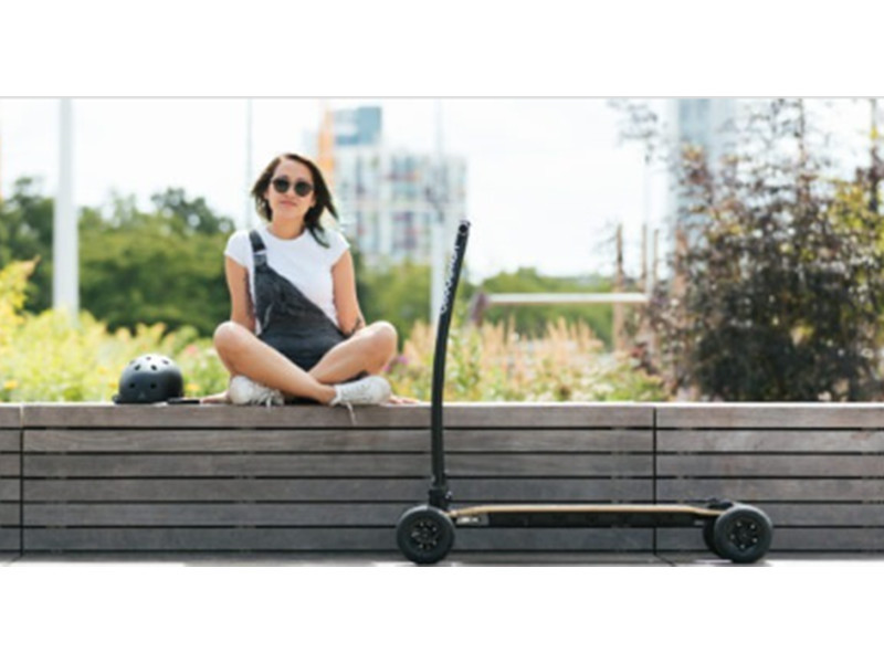 Electric Scooter (6)
